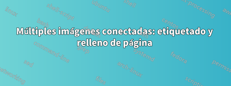 Múltiples imágenes conectadas: etiquetado y relleno de página