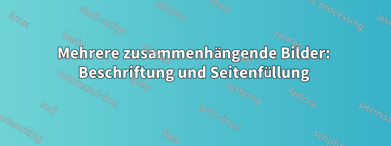 Mehrere zusammenhängende Bilder: Beschriftung und Seitenfüllung