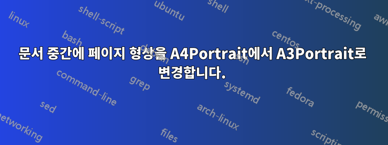 문서 중간에 페이지 형상을 A4Portrait에서 A3Portrait로 변경합니다.