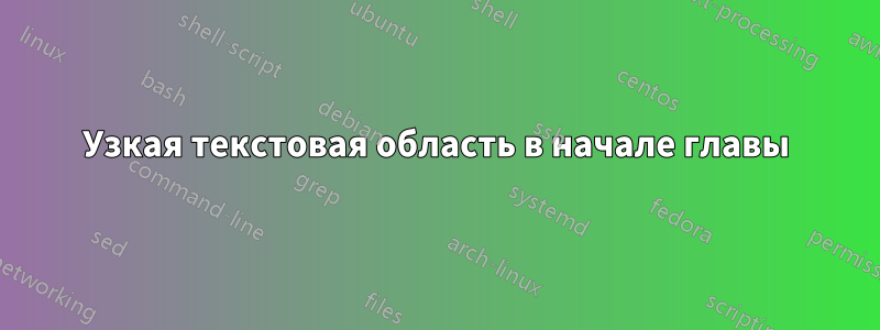 Узкая текстовая область в начале главы