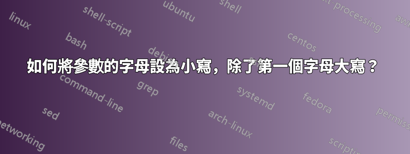 如何將參數的字母設為小寫，除了第一個字母大寫？