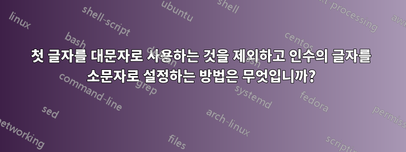 첫 글자를 대문자로 사용하는 것을 제외하고 인수의 글자를 소문자로 설정하는 방법은 무엇입니까?