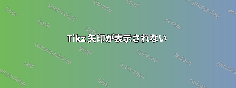 Tikz 矢印が表示されない