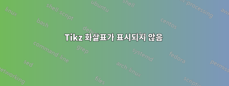 Tikz 화살표가 표시되지 않음