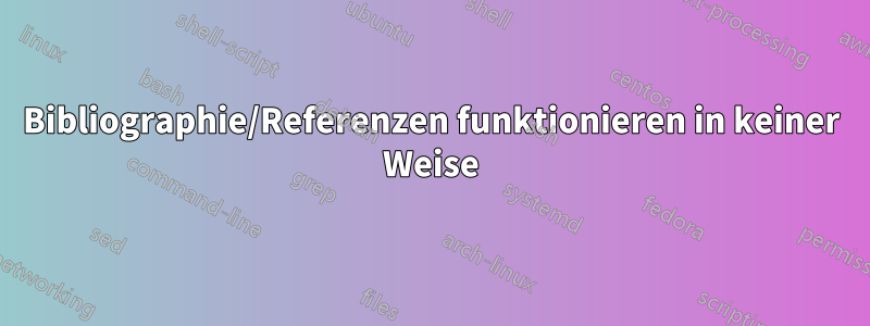 Bibliographie/Referenzen funktionieren in keiner Weise