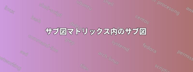 サブ図マトリックス内のサブ図