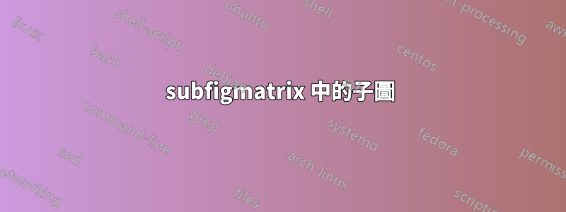 subfigmatrix 中的子圖