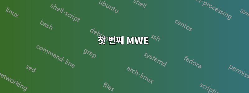 첫 번째 MWE