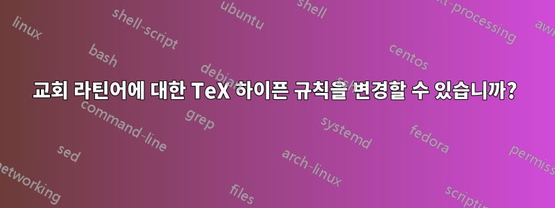 교회 라틴어에 대한 TeX 하이픈 규칙을 변경할 수 있습니까?