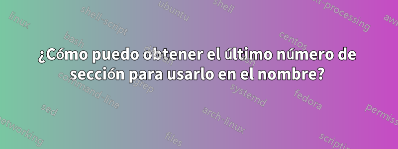 ¿Cómo puedo obtener el último número de sección para usarlo en el nombre?