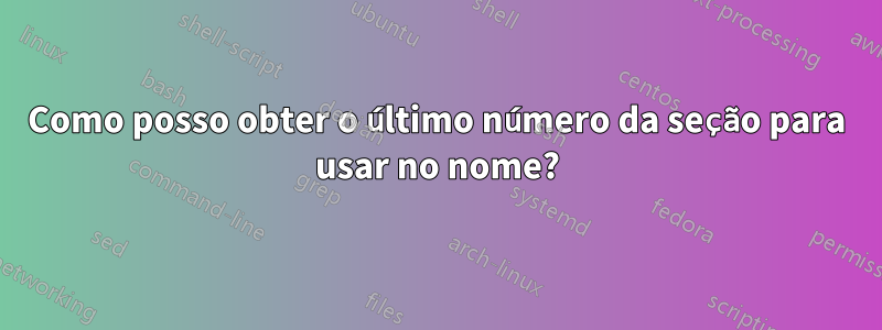 Como posso obter o último número da seção para usar no nome?