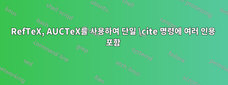 RefTeX, AUCTeX를 사용하여 단일 \cite 명령에 여러 인용 포함