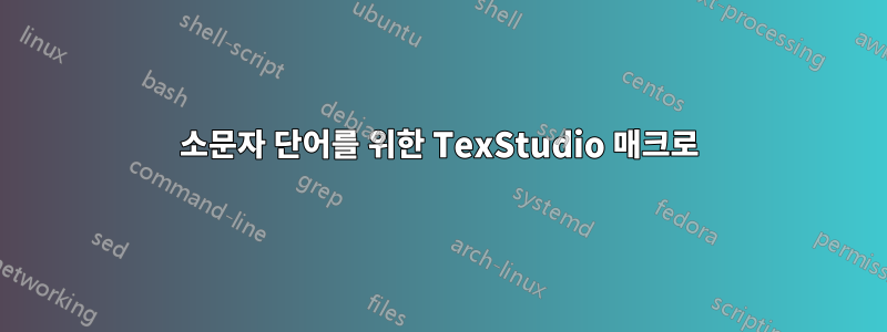 소문자 단어를 위한 TexStudio 매크로