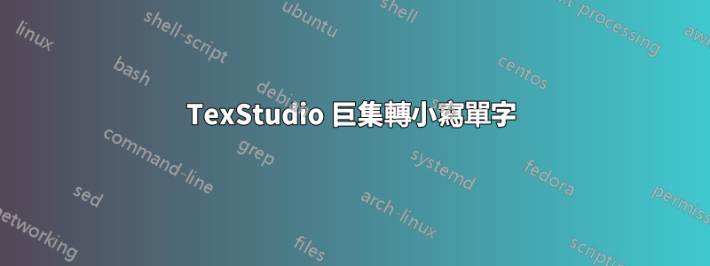 TexStudio 巨集轉小寫單字