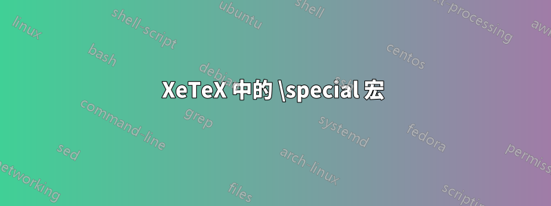 XeTeX 中的 \special 宏