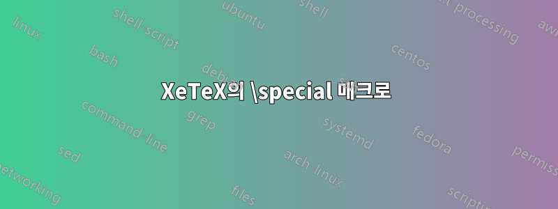 XeTeX의 \special 매크로