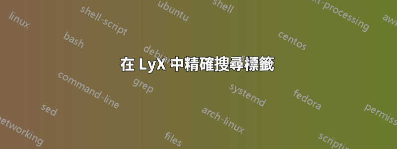 在 LyX 中精確搜尋標籤