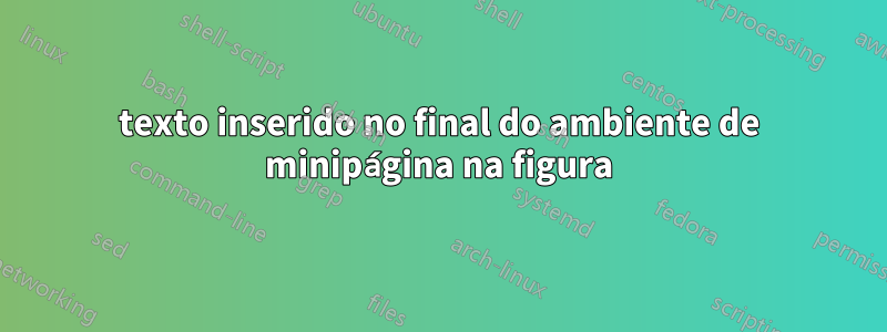 texto inserido no final do ambiente de minipágina na figura