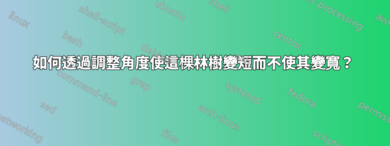 如何透過調整角度使這棵林樹變短而不使其變寬？