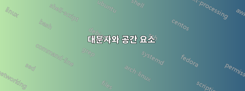 대문자와 공간 요소