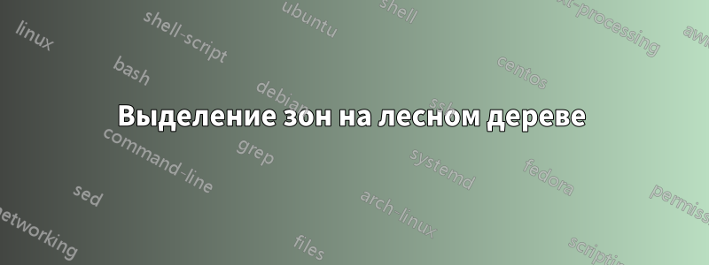 Выделение зон на лесном дереве