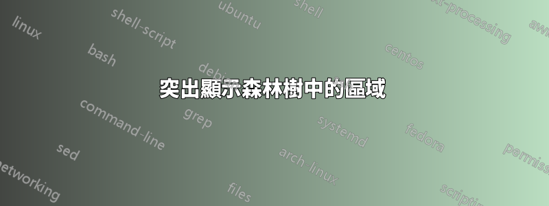 突出顯示森林樹中的區域