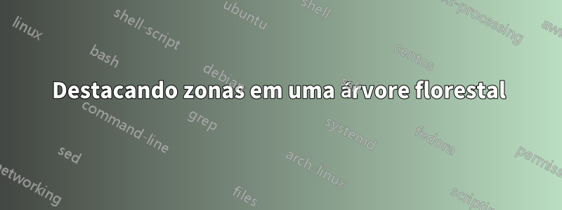 Destacando zonas em uma árvore florestal