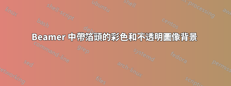 Beamer 中帶箔頭的彩色和不透明圖像背景