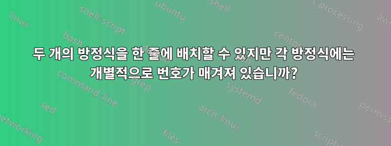 두 개의 방정식을 한 줄에 배치할 수 있지만 각 방정식에는 개별적으로 번호가 매겨져 있습니까?