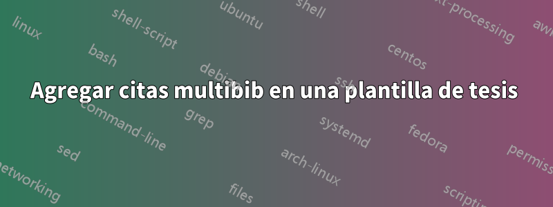 Agregar citas multibib en una plantilla de tesis