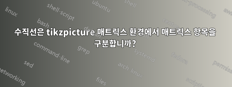 수직선은 tikzpicture 매트릭스 환경에서 매트릭스 항목을 구분합니까?