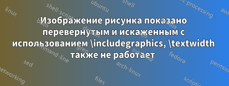 Изображение рисунка показано перевернутым и искаженным с использованием \includegraphics, \textwidth также не работает 