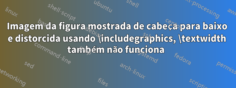 Imagem da figura mostrada de cabeça para baixo e distorcida usando \includegraphics, \textwidth também não funciona 