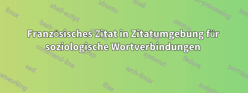 Französisches Zitat in Zitatumgebung für soziologische Wortverbindungen