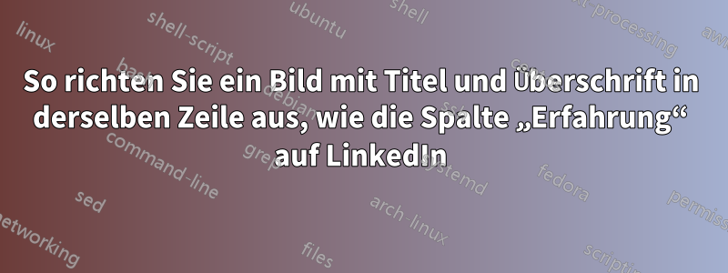 So richten Sie ein Bild mit Titel und Überschrift in derselben Zeile aus, wie die Spalte „Erfahrung“ auf LinkedIn