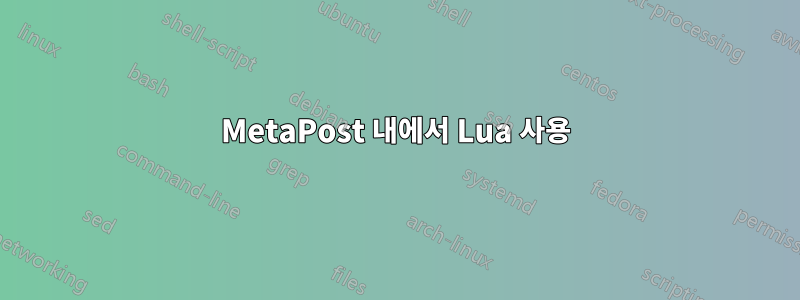 MetaPost 내에서 Lua 사용