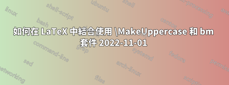 如何在 LaTeX 中結合使用 \MakeUppercase 和 bm 套件 2022-11-01