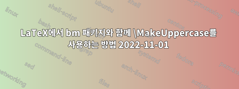 LaTeX에서 bm 패키지와 함께 \MakeUppercase를 사용하는 방법 2022-11-01