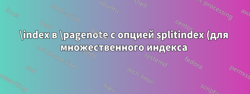 \index в \pagenote с опцией splitindex (для множественного индекса)
