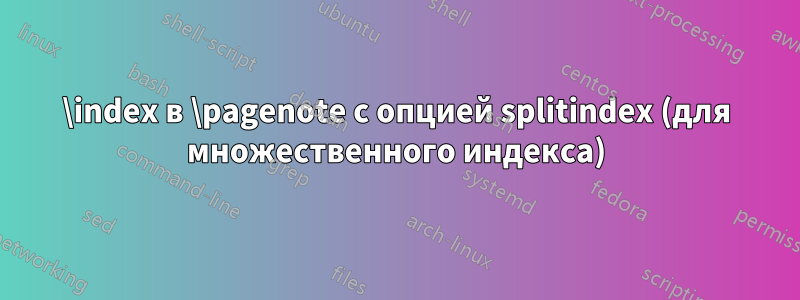 \index в \pagenote с опцией splitindex (для множественного индекса)