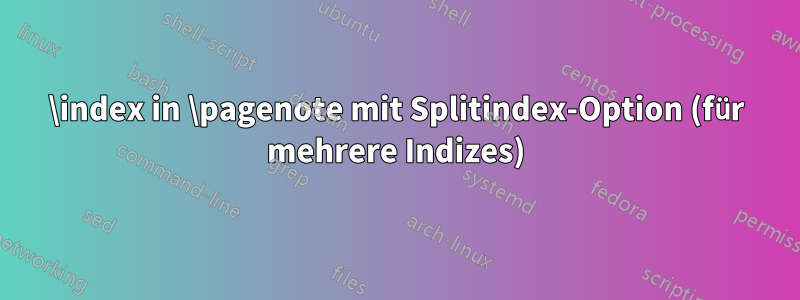 \index in \pagenote mit Splitindex-Option (für mehrere Indizes)