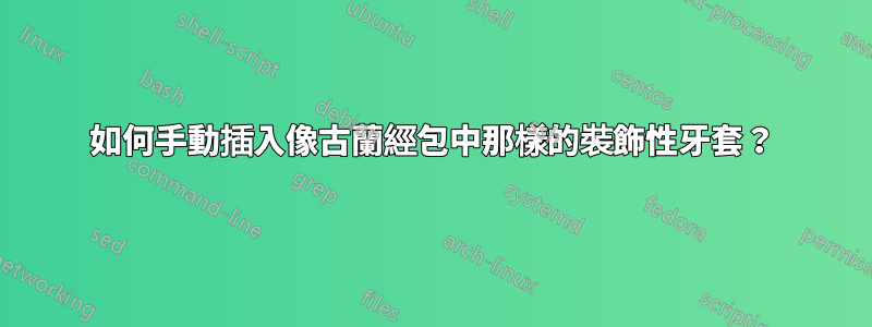 如何手動插入像古蘭經包中那樣的裝飾性牙套？