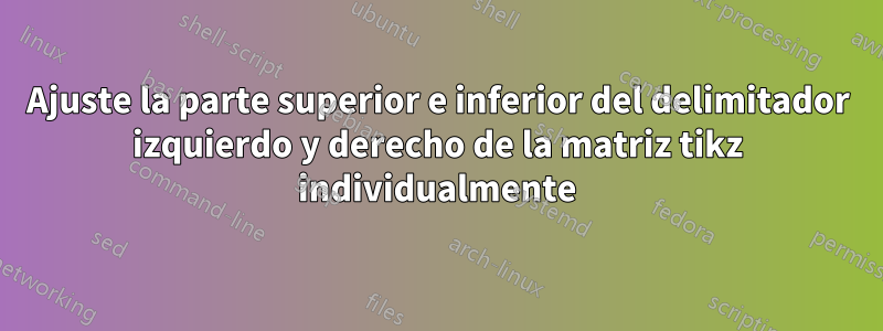 Ajuste la parte superior e inferior del delimitador izquierdo y derecho de la matriz tikz individualmente