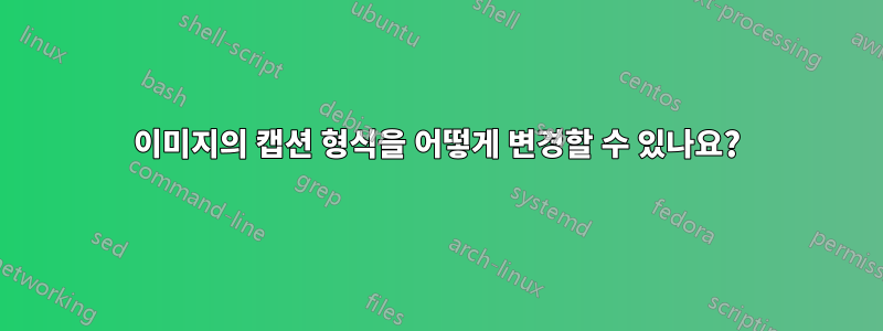 이미지의 캡션 형식을 어떻게 변경할 수 있나요?