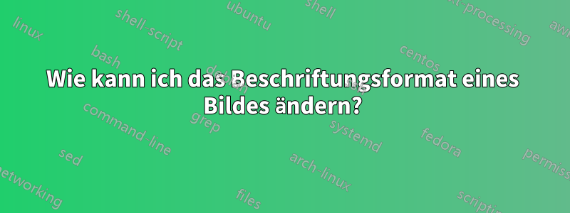 Wie kann ich das Beschriftungsformat eines Bildes ändern?