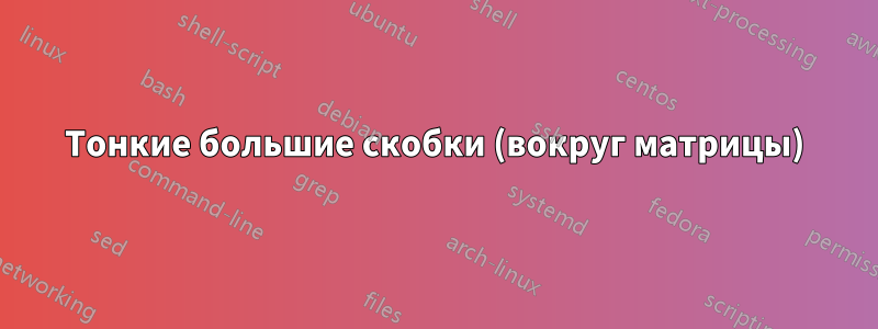 Тонкие большие скобки (вокруг матрицы)