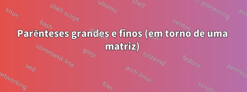 Parênteses grandes e finos (em torno de uma matriz)