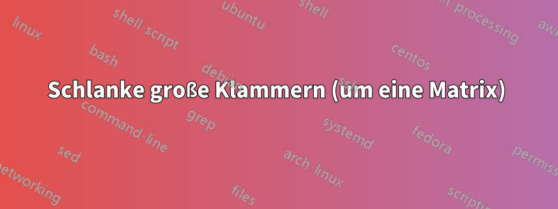 Schlanke große Klammern (um eine Matrix)