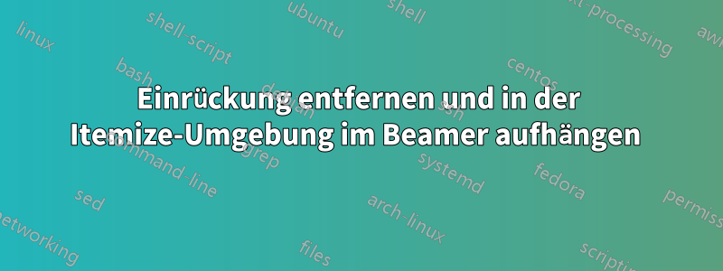 Einrückung entfernen und in der Itemize-Umgebung im Beamer aufhängen 