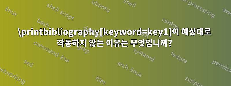 \printbibliography[keyword=key1]이 예상대로 작동하지 않는 이유는 무엇입니까?